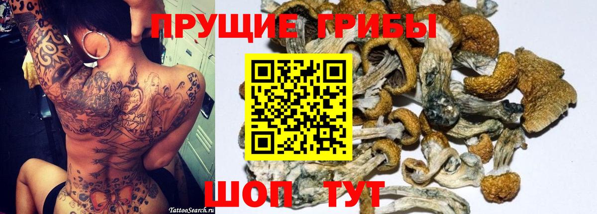 Малоярославец  Галлюциногенные грибы ЛСД  Галлюциногенные грибы ЛСД  Вход с VPN 